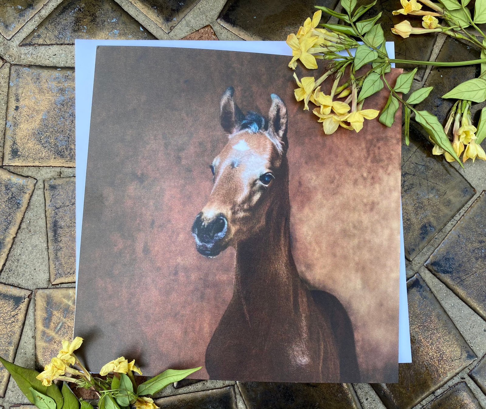 Foal Card with flowers
